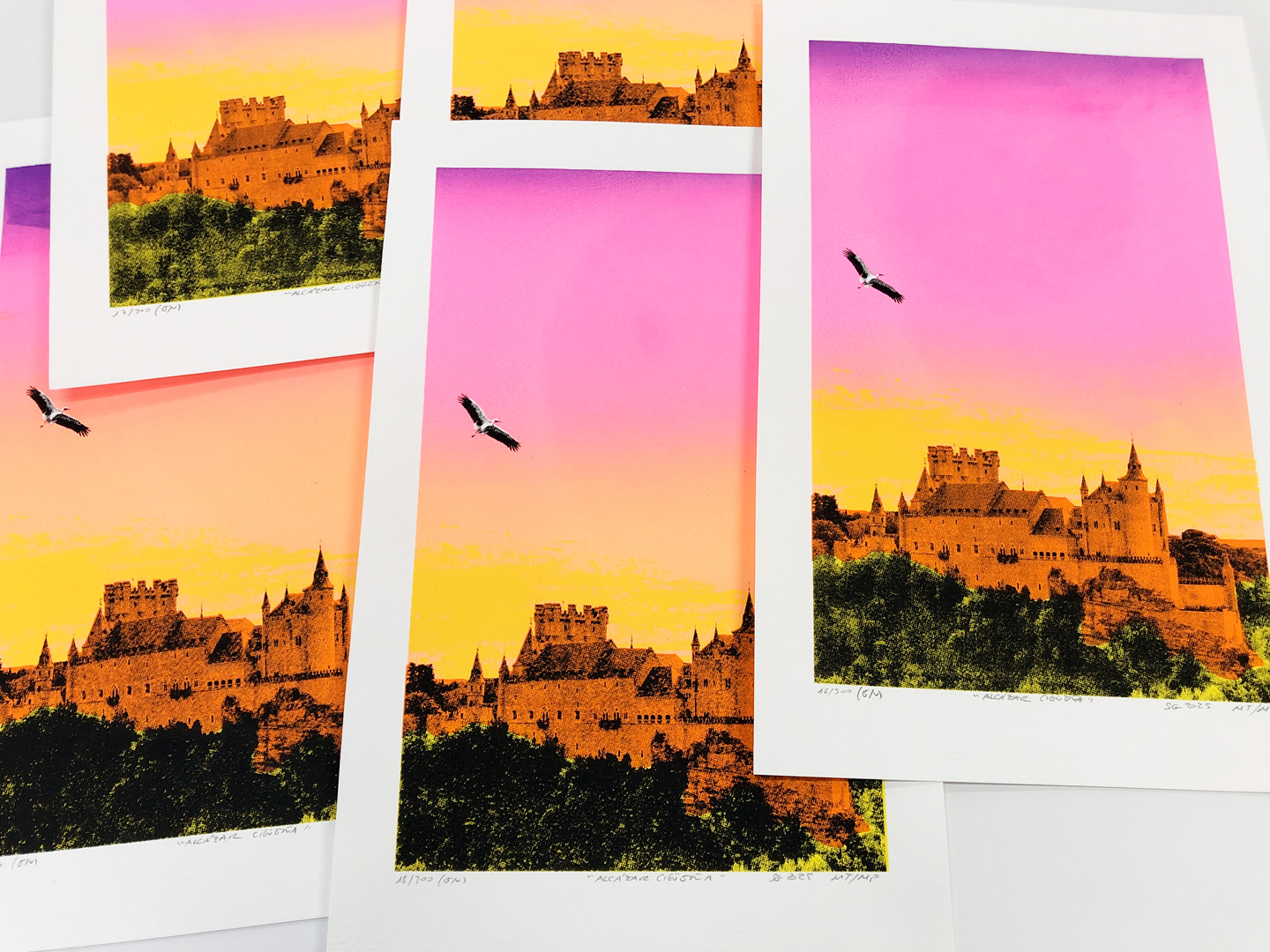 Hand screenprinted silkscreen 'Alcázar and Stork' 2025, 4 inks on Canson Montval 300g, signed and numbered edition of 300, by montón de trigo montón de paja