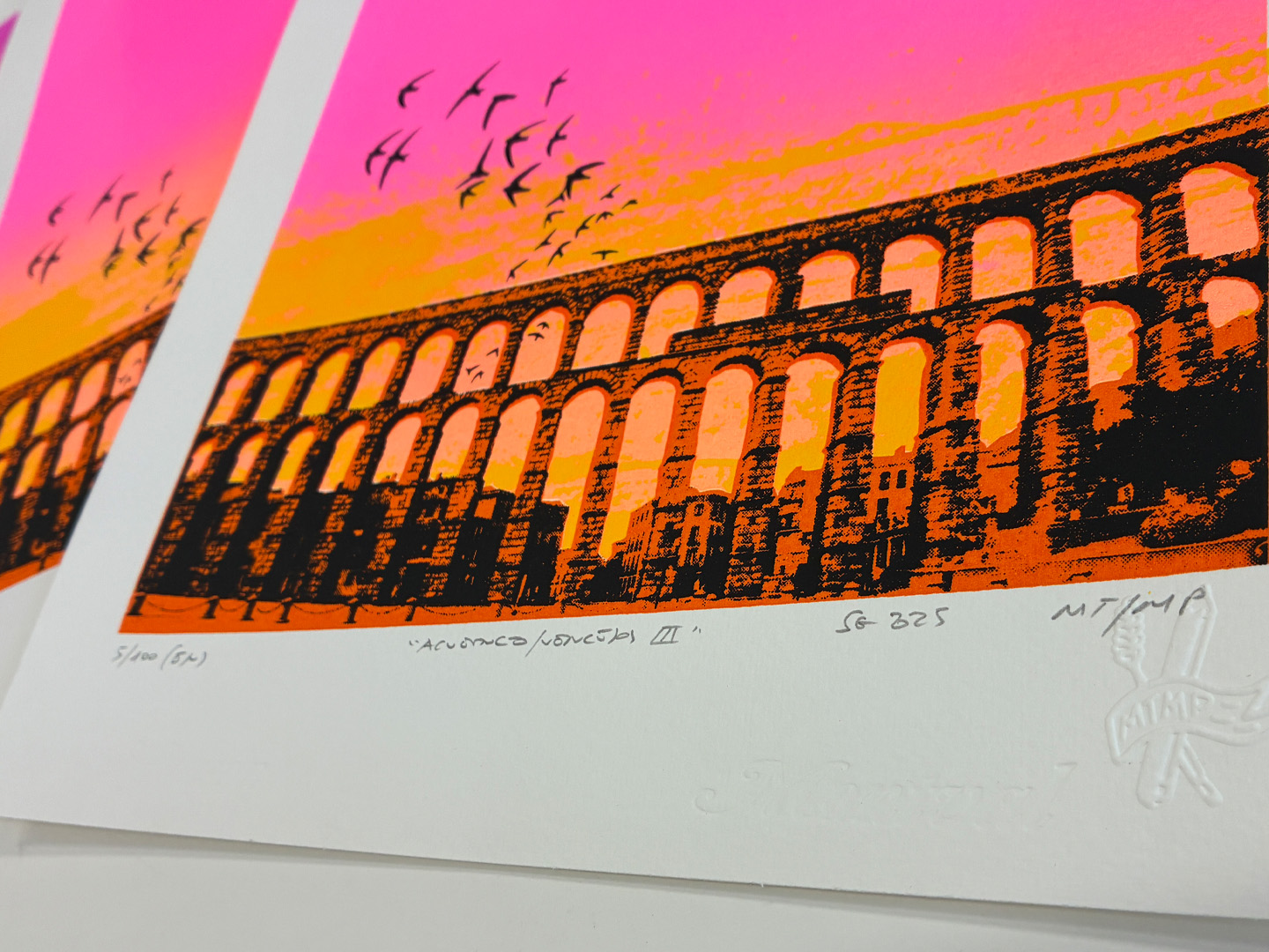 Detail of silkscreen sin marco 'Aqueduct Swifts III', 6-colour eco inks on 300g Canson paper, by montón de trigo montón de paja.
